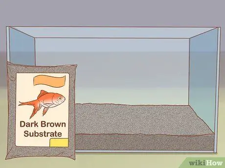 Сделайте свой аквариум профессионально разработанным Шаг 1