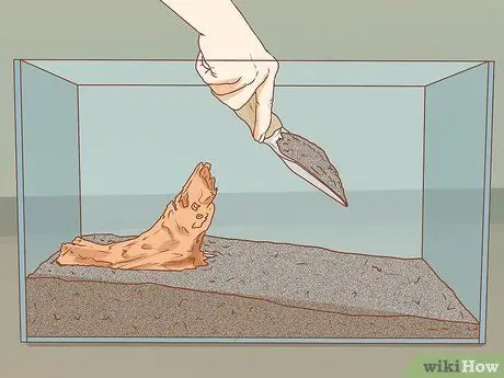 Сделайте свой аквариум профессионально разработанным Шаг 10