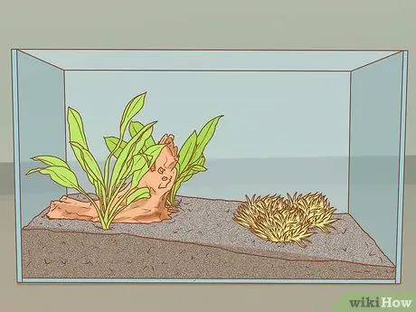Сделайте свой аквариум профессионально разработанным Шаг 11