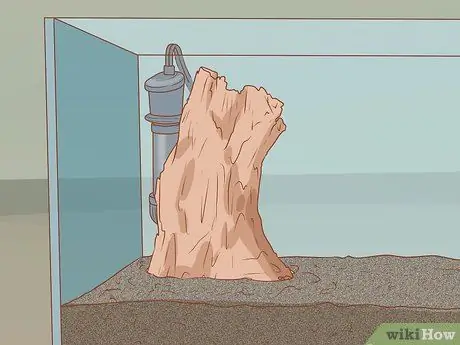 Сделайте свой аквариум профессионально разработанным Шаг 12