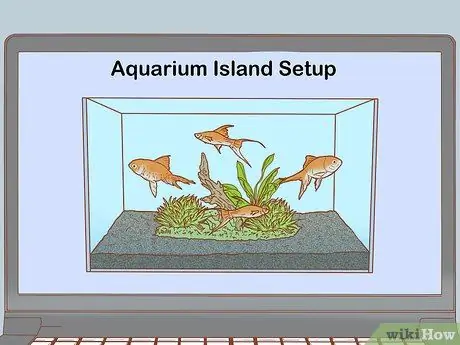 Сделайте свой аквариум профессионально разработанным Шаг 13