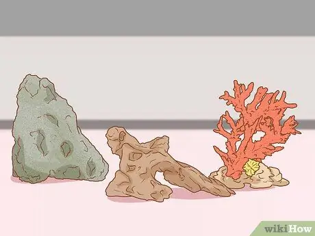 Сделайте свой аквариум профессионально разработанным Шаг 4