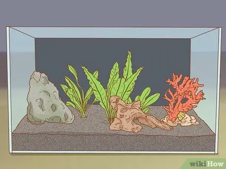 Сделайте свой аквариум профессионально разработанным Шаг 5