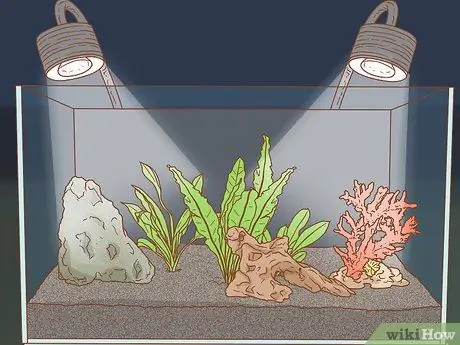 Сделайте свой аквариум профессионально разработанным Шаг 6