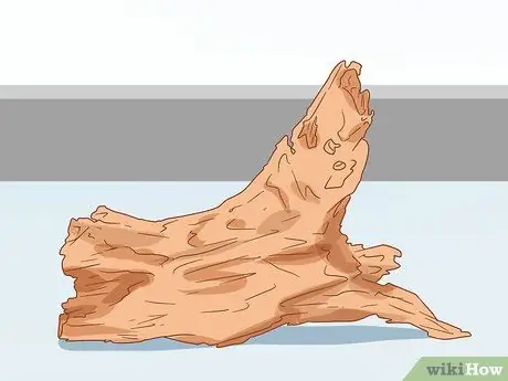 Сделайте свой аквариум профессионально разработанным Шаг 8