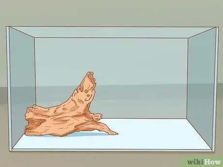 Сделайте свой аквариум профессионально разработанным Шаг 9