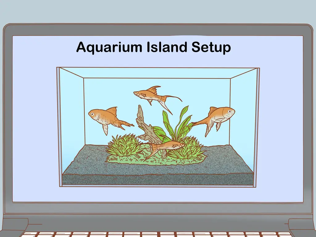 Как придать аквариуму профессиональный вид: 13 шагов