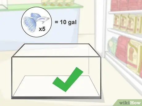 Настройка танка для гуппи Шаг 1