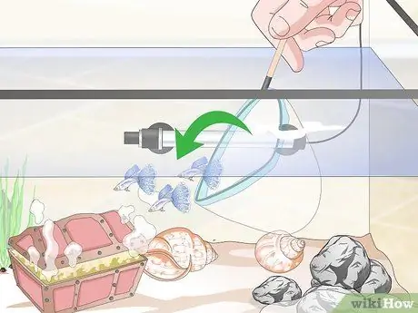 Установка танка для гуппи Шаг 15