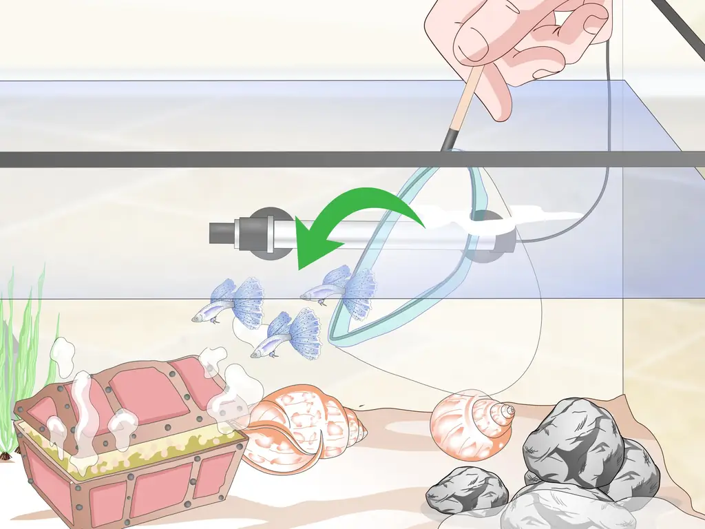 Как настроить танк для гуппи (с иллюстрациями)