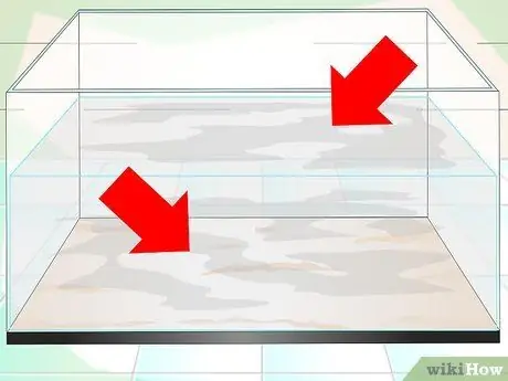 Держите воду в аквариуме чистой, шаг 1