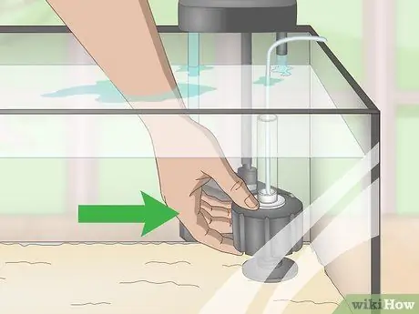 Выполните цикл без рыбы, шаг 1