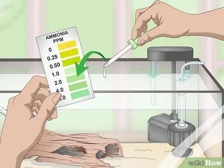 Выполните цикл без рыбы, шаг 12