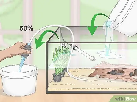 Выполните цикл без рыбы, шаг 13