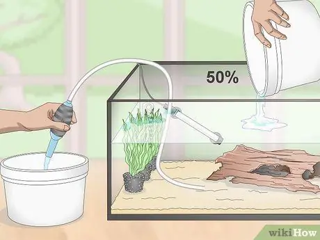 Выполните цикл без рыбы, шаг 14