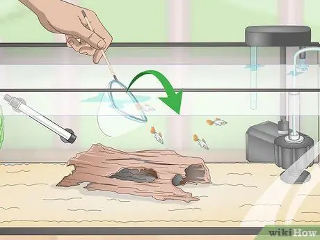 Выполните цикл без рыбы, шаг 15