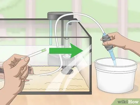 Выполните цикл без рыбы, шаг 16