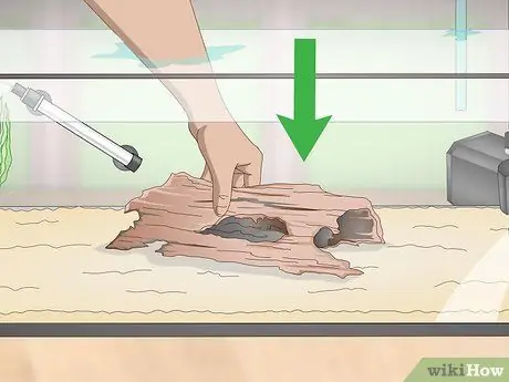 Выполните цикл без рыбы, шаг 2