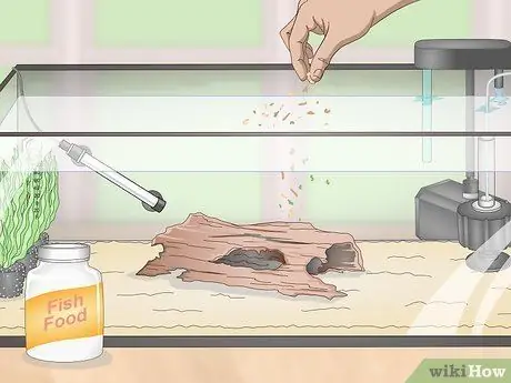 Выполните цикл без рыбы, шаг 3