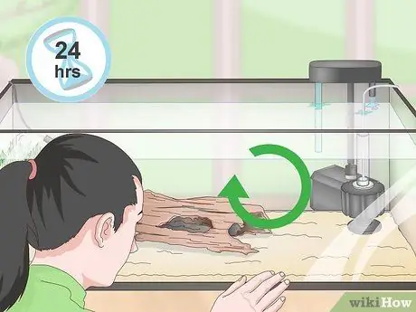 Выполните цикл без рыбы, шаг 6