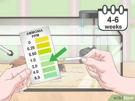 Выполните цикл без рыбы, шаг 7