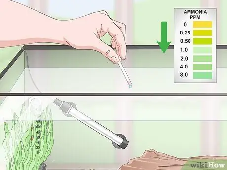 Выполните цикл без рыбы, шаг 8