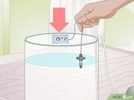 Содержание аквариума с медузами Шаг 2