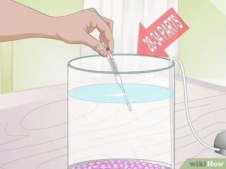 Содержание аквариума с медузами Шаг 4