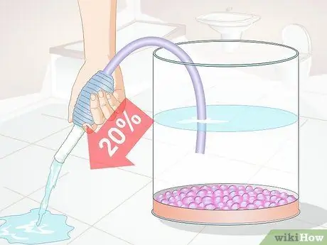 Содержание аквариума с медузами Шаг 7