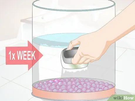 Содержание аквариума с медузами Шаг 8