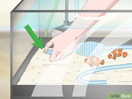 Повышение pH в аквариуме Шаг 14