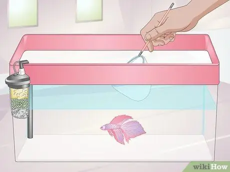 Украсьте аквариум Шаг 3