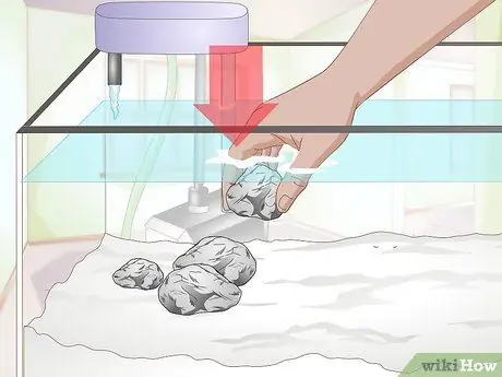 Украсьте аквариум Шаг 4