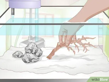 Украсьте аквариум Шаг 5