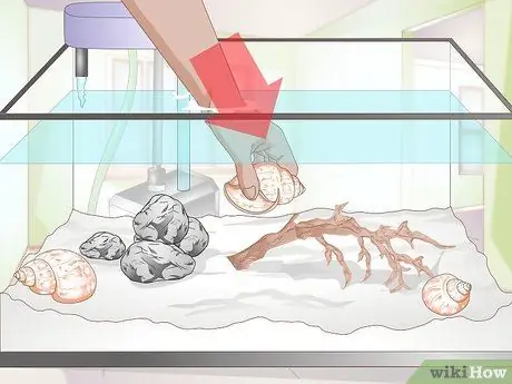 Украшаем аквариум Шаг 6