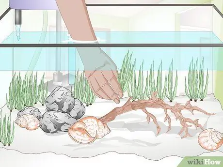 Украшаем аквариум Шаг 7