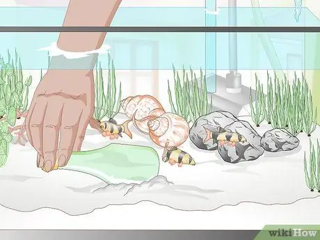 Украшаем аквариум Шаг 11