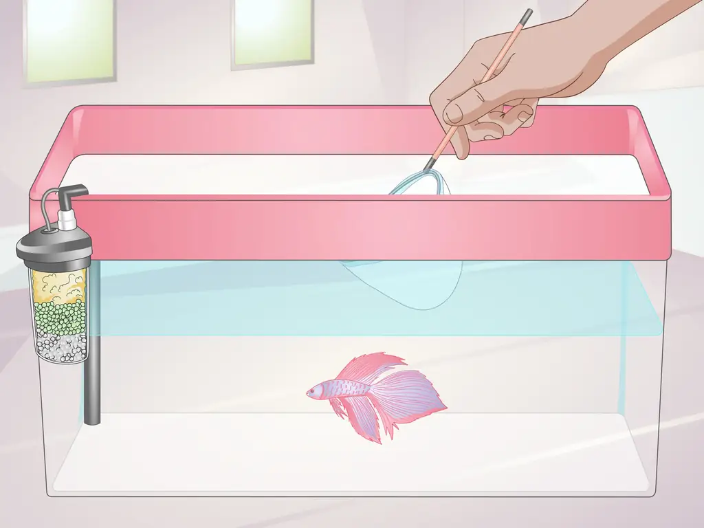 11 способов украсить аквариум