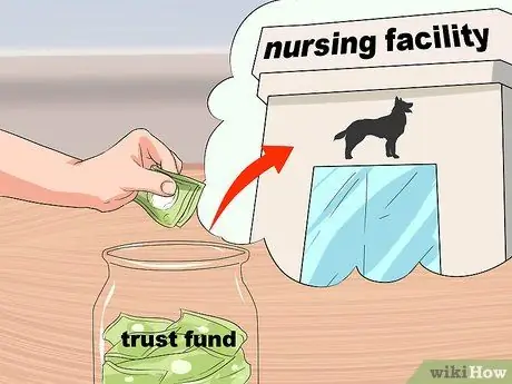 Выберите между соглашением о защите домашних животных и доверием домашних животных Шаг 12