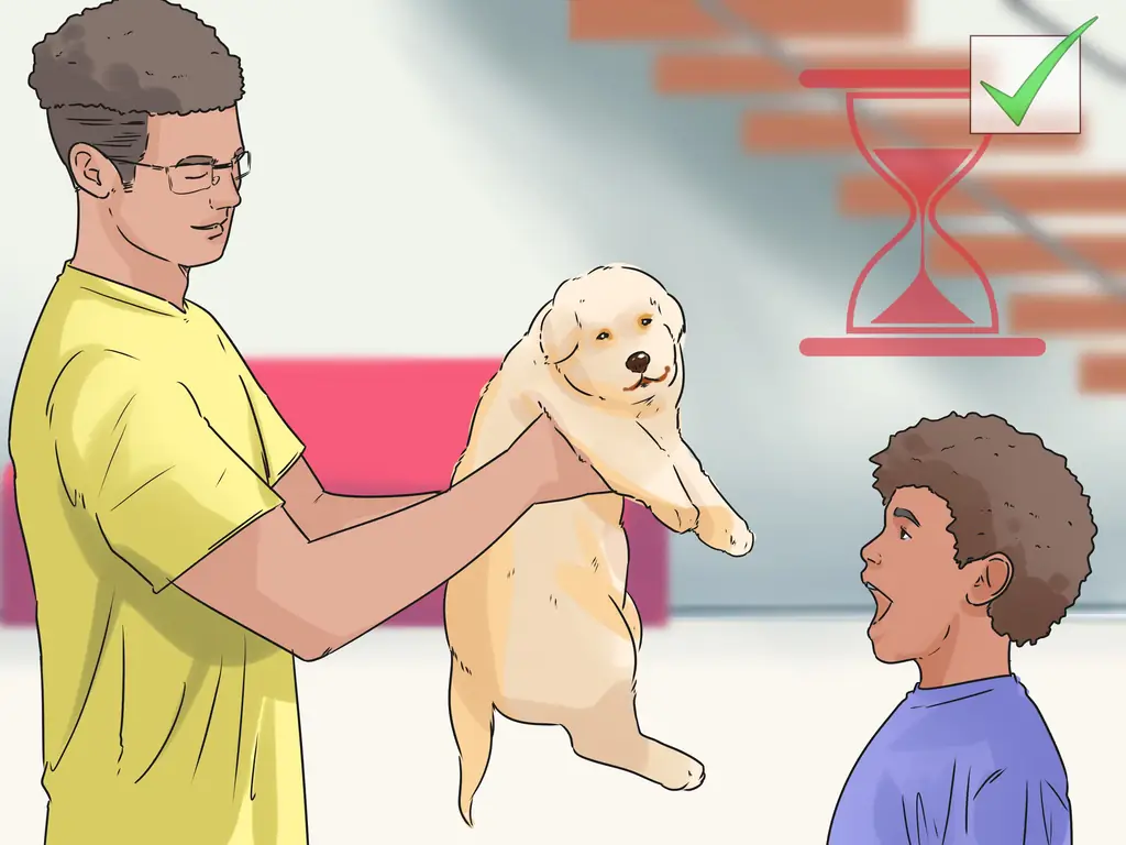 3 способа помочь детям пережить смерть собаки