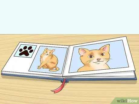 Помогите детям справиться со смертью кошки Шаг 13