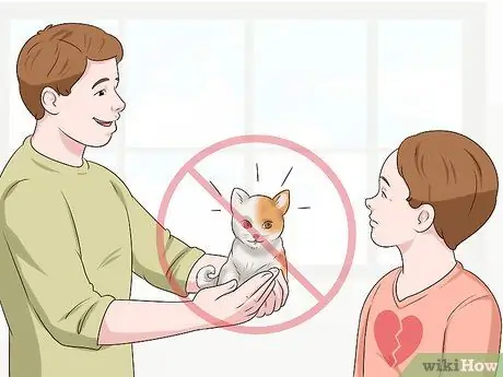 Помогите детям справиться со смертью кошки Шаг 14