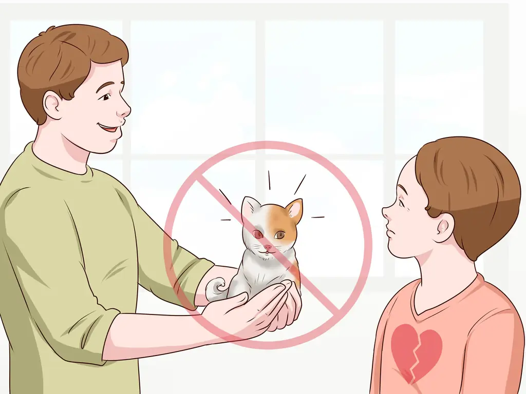 3 способа помочь детям пережить смерть кошки