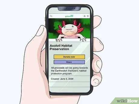 Помогите предотвратить вымирание аксолотлей, шаг 4