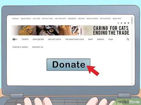 Помогите спасти тигров, шаг 1