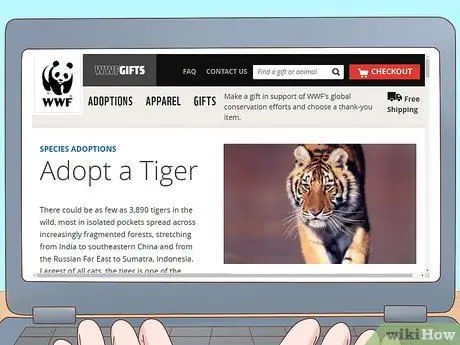 Помогите спасти тигров, шаг 2