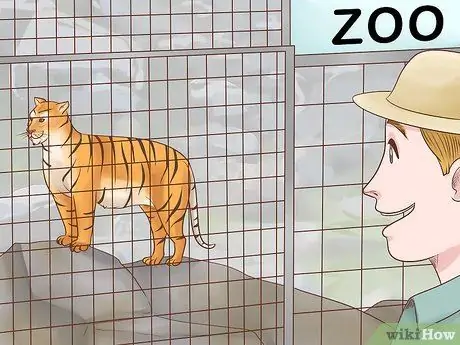 Помогите спасти тигров, шаг 3