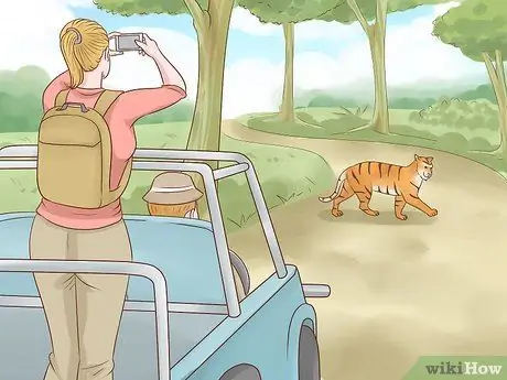 Помогите спасти тигров, шаг 5