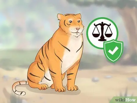 Помогите спасти тигров Шаг 7