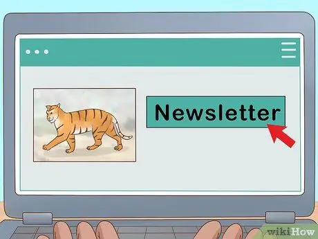 Помогите спасти тигров Шаг 9